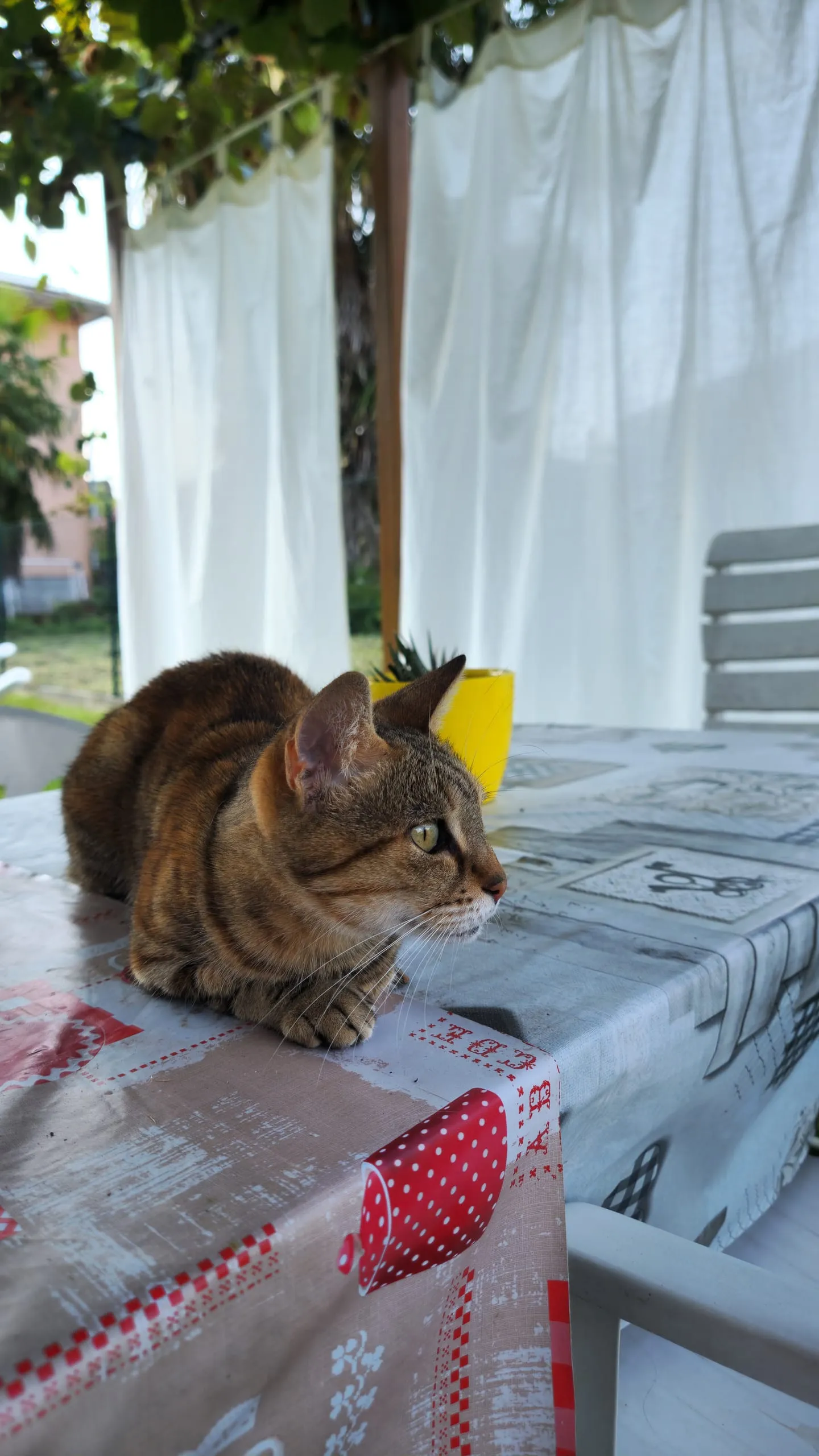 Appartamento nella zona dei laghi, Foto 12