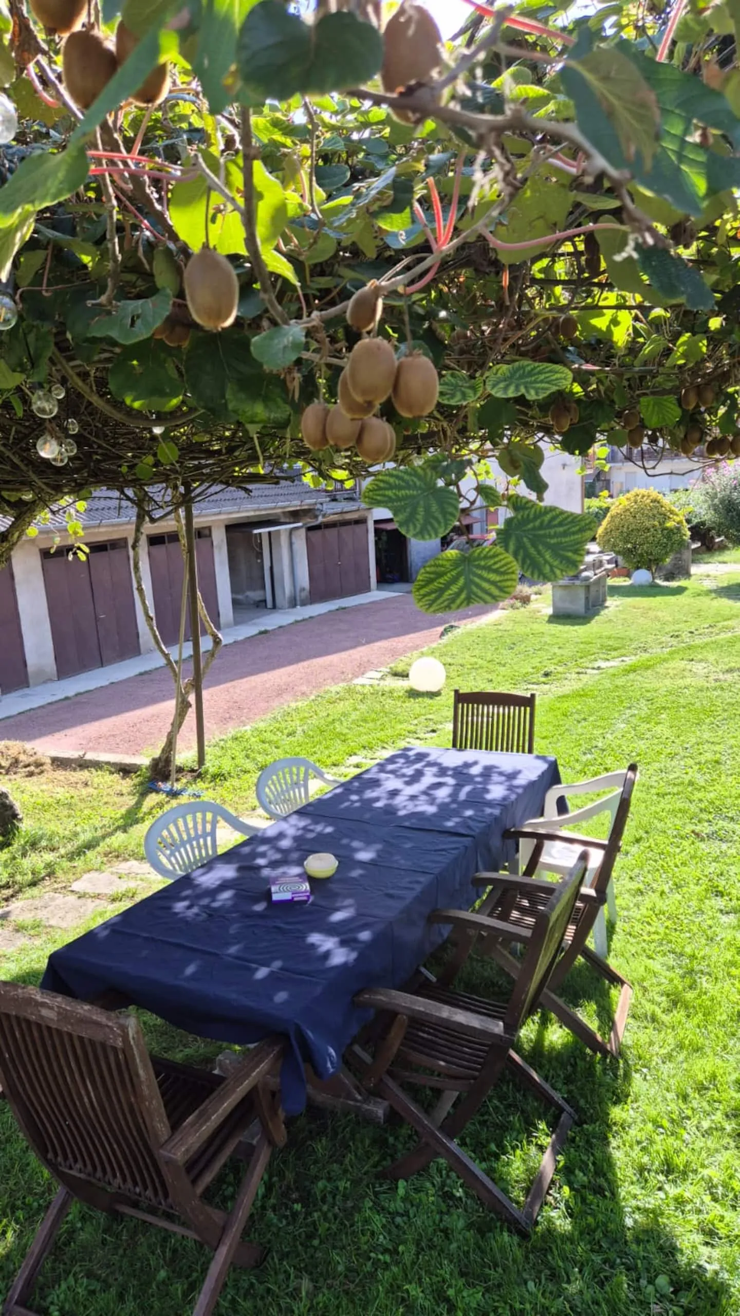 Garten